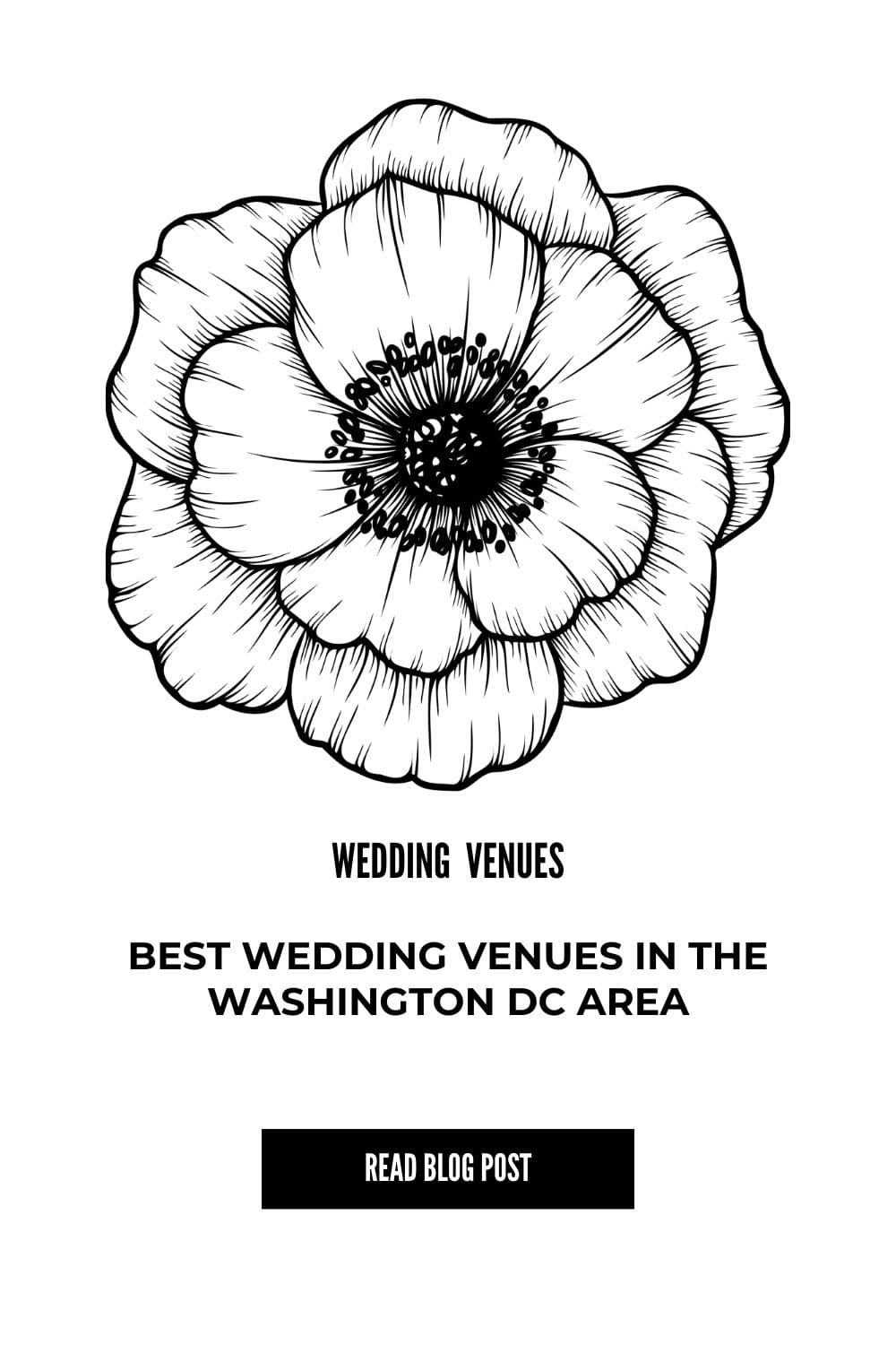 blog-post-best-wedding-venues-in-the-washington-dc-area