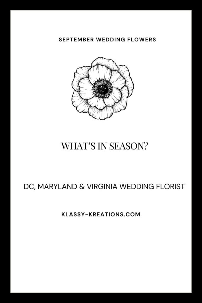 Pinterest graphic reading “September Wedding Flowers: What’s in Season?” with “DC, Maryland & Virginia Wedding Florist”