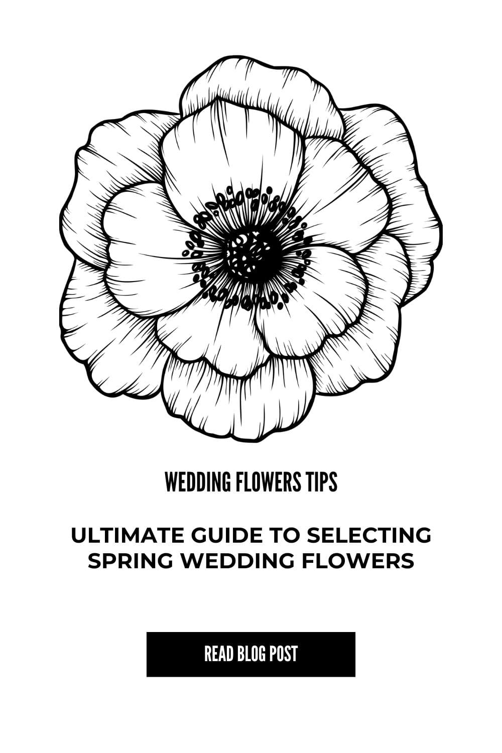 bp-spring-ultimate-guide-to-selecting-spring-wedding-flowers