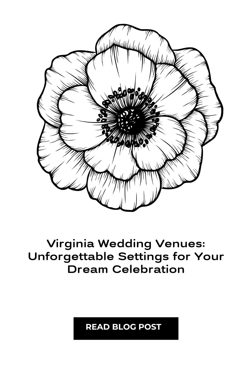 virginia-wedding-venues-unforgettable-settings-for-your-dream-celebration-va