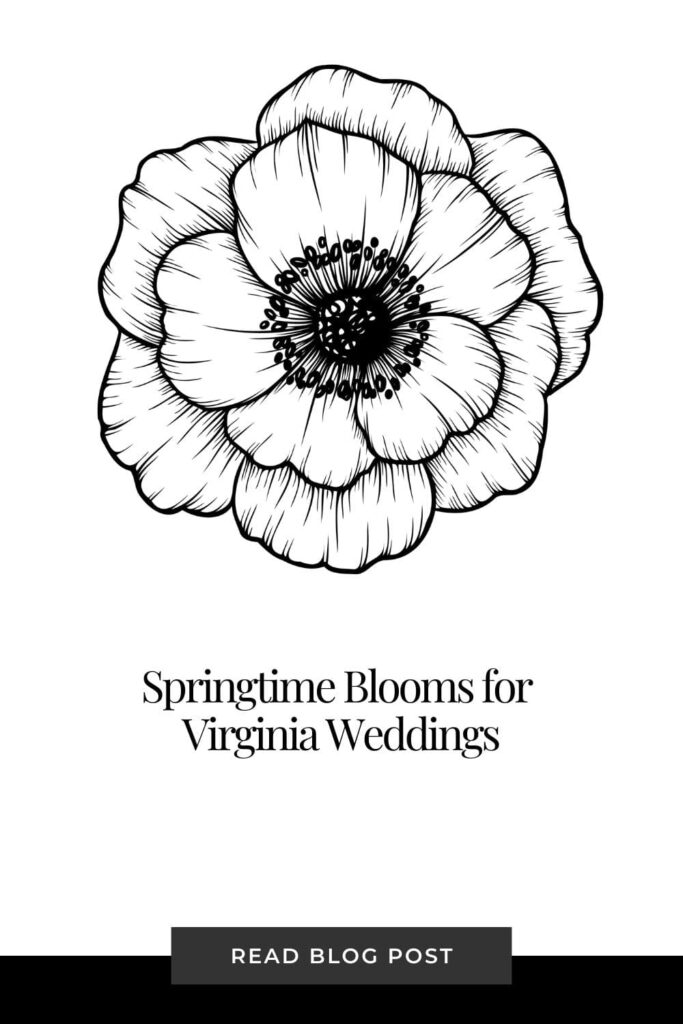 spring-wedding- flowers-in-virginia- blog-post-banner