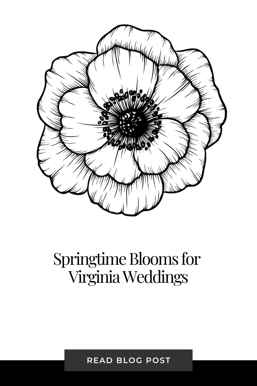spring-wedding- flowers-in-virginia- blog-post-banner